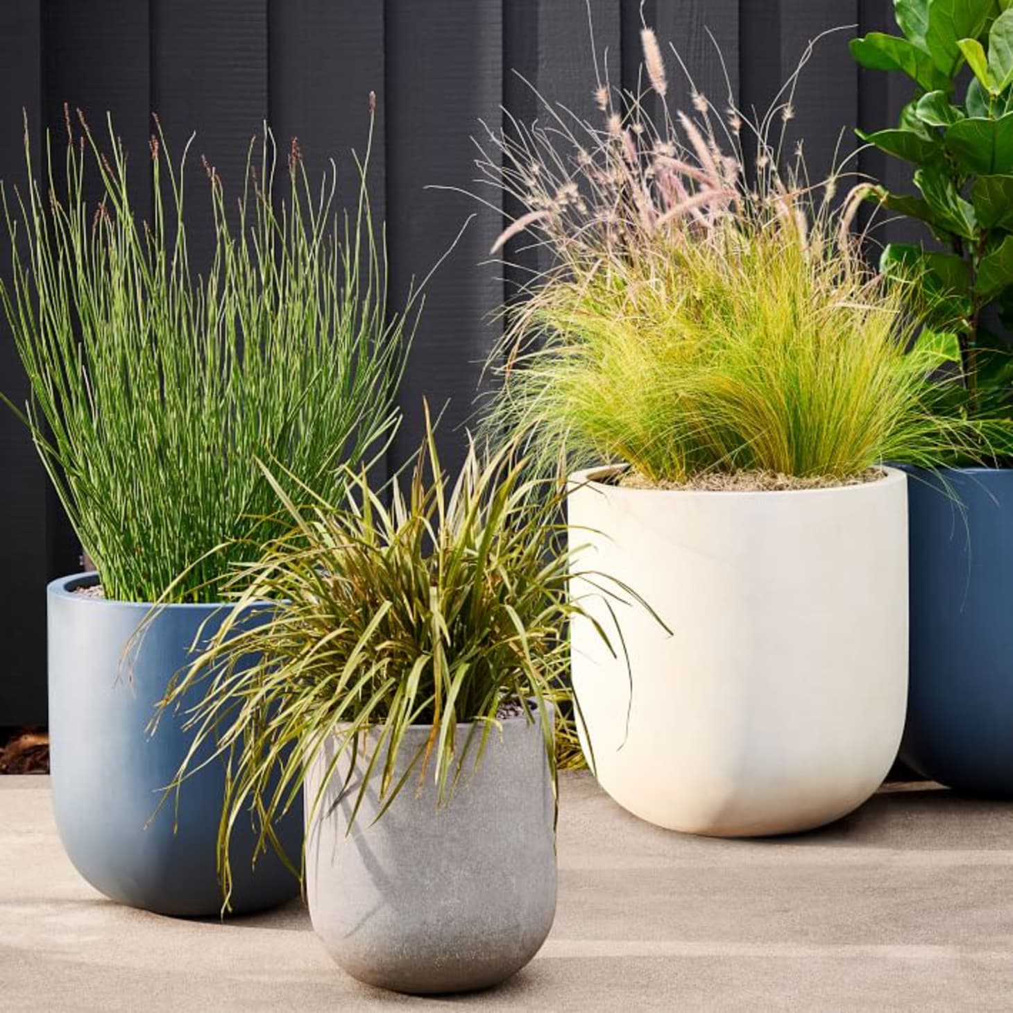 Best Modern Pots and Planters from West Elm Apartment Therapy